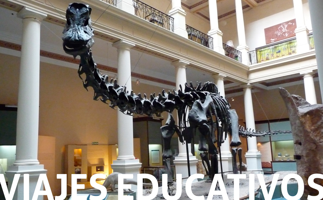 Viajes educativos